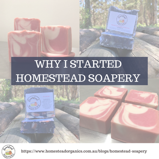 Why I started Homestead Soapery?