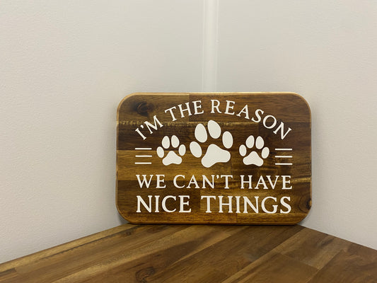 I’m the reason we can’t have nice things | 20cm x 30cm
