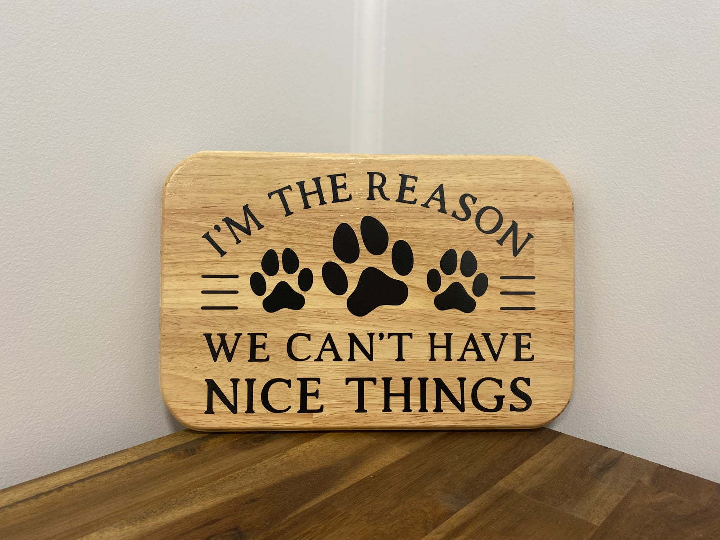 I’m the reason we can’t have nice things | 20cm x 30cm
